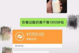 城阳为什么选择专业追讨公司来处理您的债务纠纷？